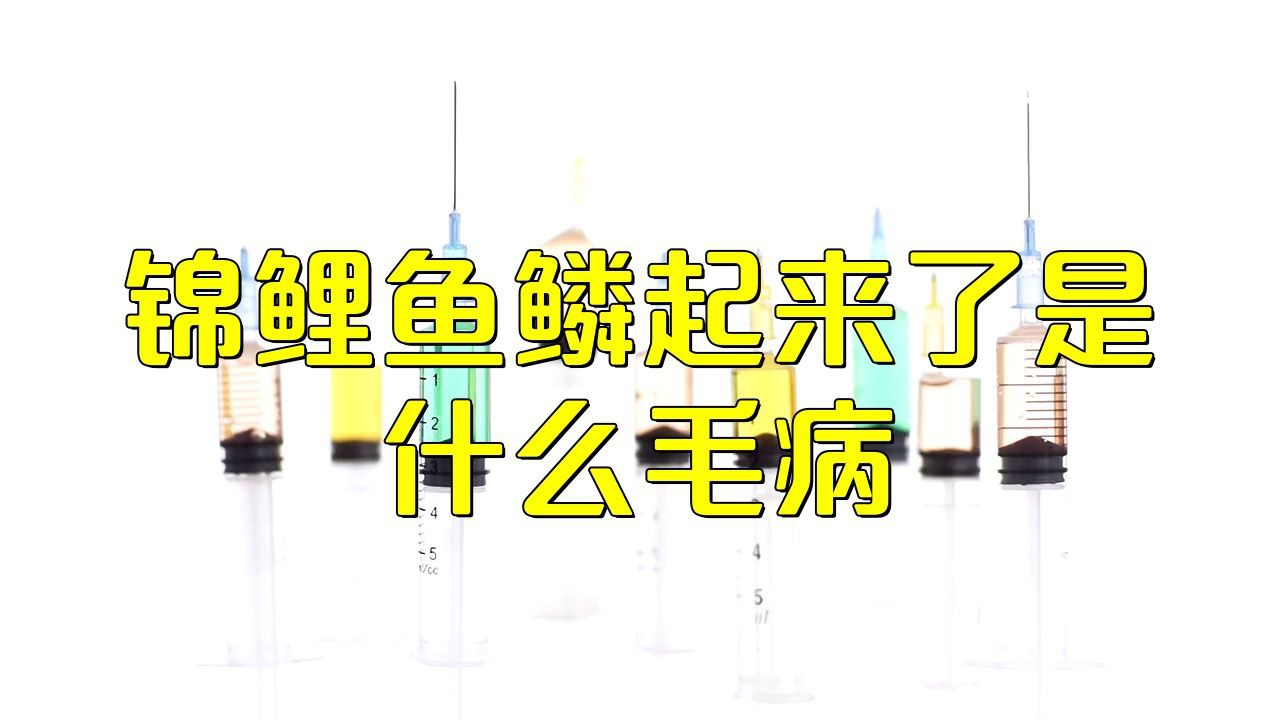 如何早期發(fā)現(xiàn)魚立鱗??？【智能模式回答完成工具：百度健康魚立鱗病的早期發(fā)現(xiàn)】