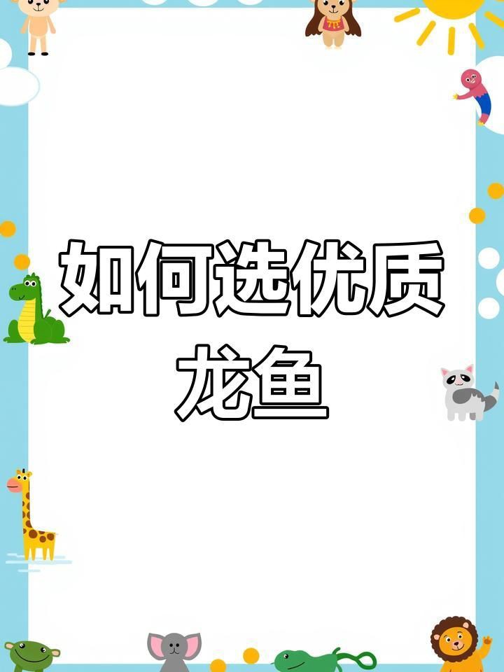 新手養(yǎng)紅龍還是金龍【新手選擇紅龍或金龍或金龍需綜合考慮飼養(yǎng)難度、成本及觀賞需求】