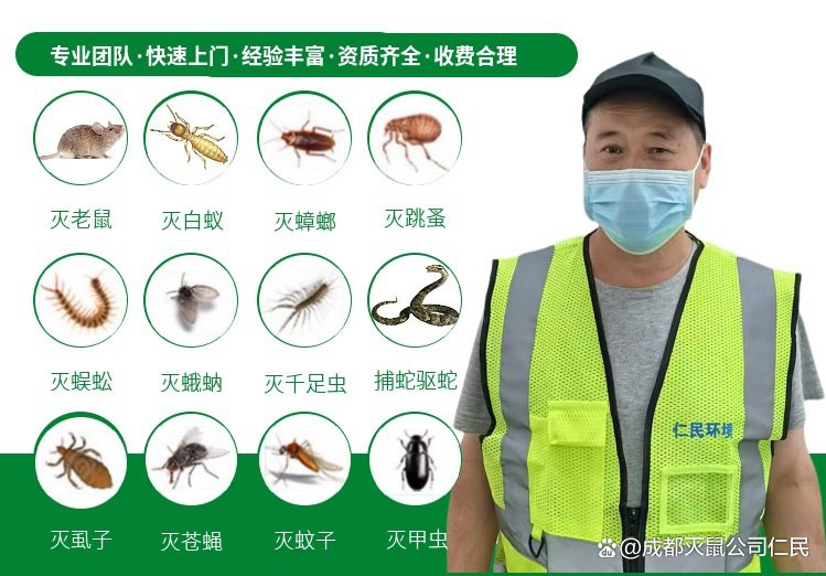 上門滅鼠一般多少錢【上門滅鼠服務價格全解析】