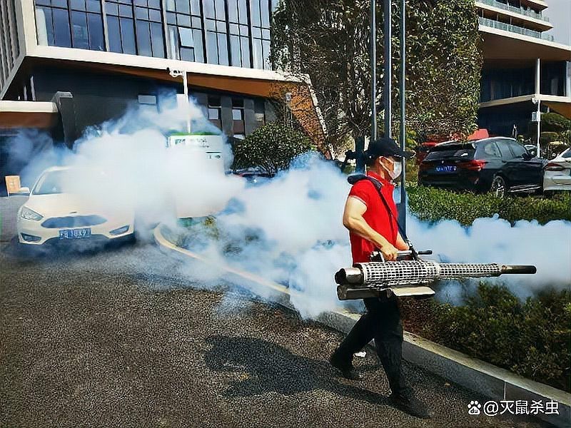上門滅鼠一般多少錢【上門滅鼠服務價格全解析】