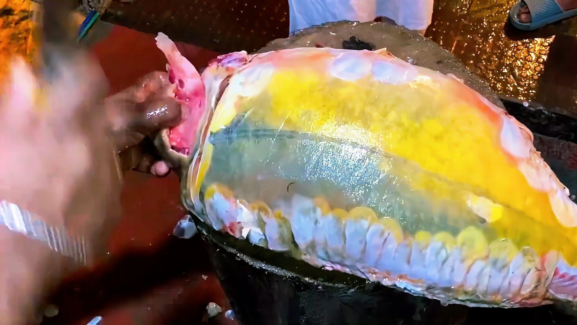 東北三道鱗魚是什么魚【東北三道鱗魚是什么魚？】