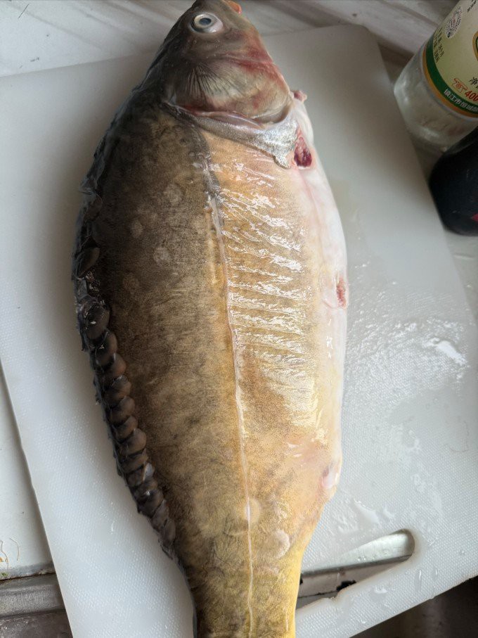 東北三道鱗魚是什么魚【東北三道鱗魚是什么魚？】