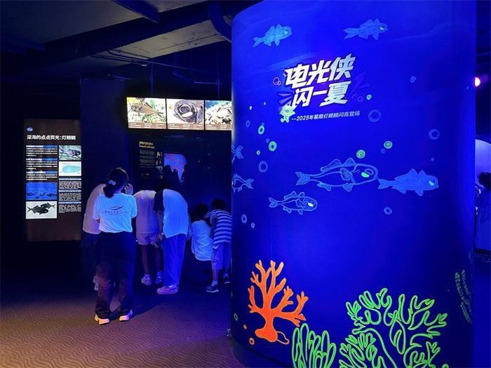 上海水族店【上海水族店有哪些特色水族店值得一游上海海洋水族館】