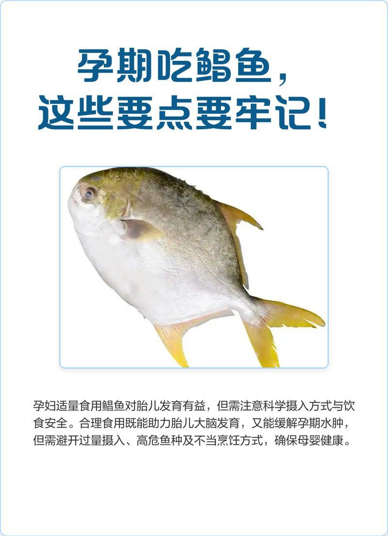 流網鯧魚為何不建議吃【小貍玥，吃鯧魚的注意事項】