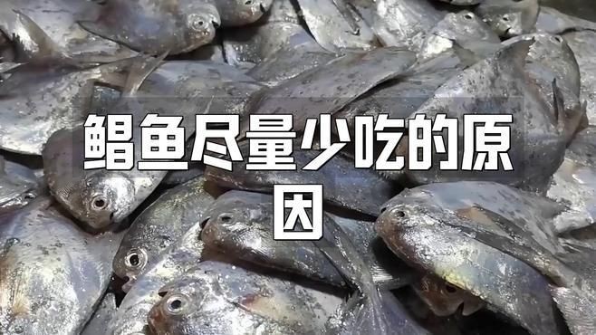 流網鯧魚為何不建議吃【小貍玥，吃鯧魚的注意事項】