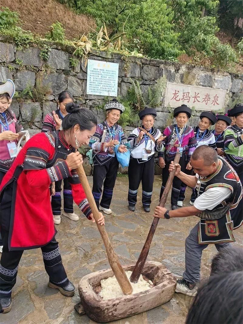 紅河哈尼族彝族自治州龍魚店【紅河哈尼族彝族自治州的龍魚店】