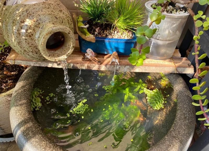 石家莊魚缸定做【石家莊魚缸定做的綜合指南】 全國水族館企業名錄 第12張 石家莊魚缸定做【石家莊魚缸定做的綜合指南】 石家莊魚缸定做【石家莊魚缸定做的綜合指南】 全國水族館企業名錄 第12張