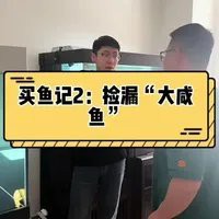 上高龍魚店【《上高龍魚店》】