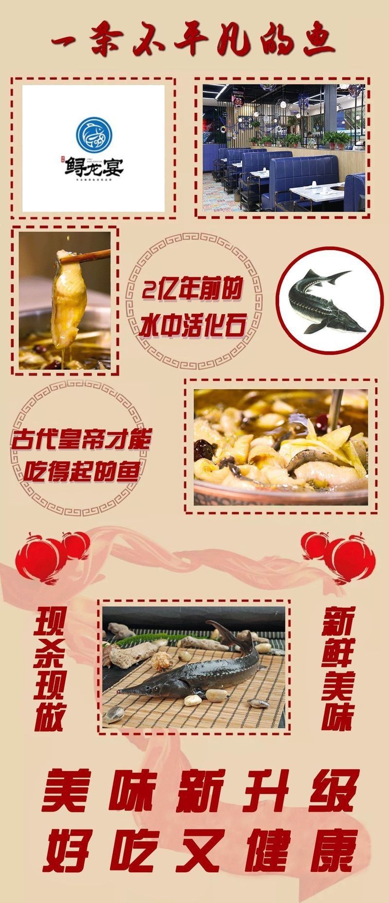 內(nèi)黃龍魚(yú)店【內(nèi)黃縣有哪些魚(yú)類主題店鋪？】