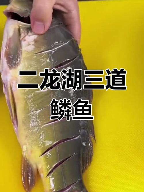 東北三道鱗魚圖片【東北三道鱗魚，農村叫它三道鱗魚，釣友帶回5斤大魚】