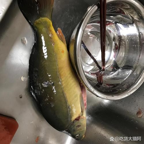 東北三道鱗魚圖片【東北三道鱗魚，農村叫它三道鱗魚，釣友帶回5斤大魚】