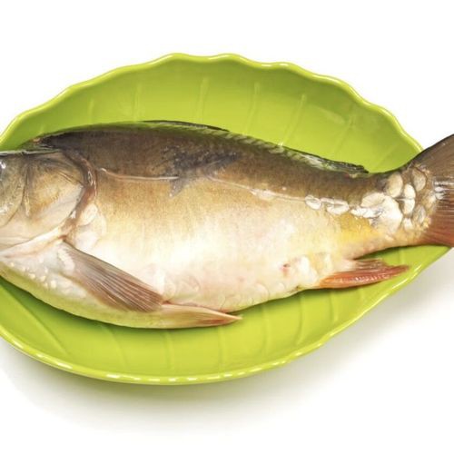 東北三道鱗魚圖片【東北三道鱗魚，農村叫它三道鱗魚，釣友帶回5斤大魚】