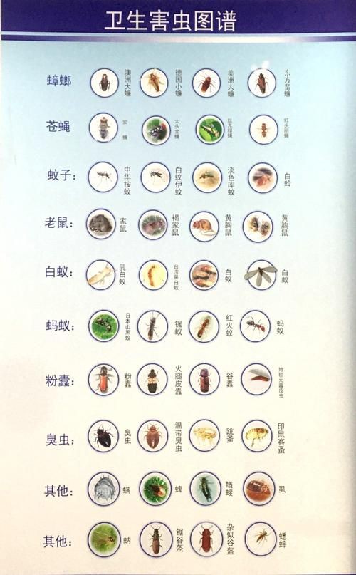 昆蟲識別圖鑒掃一掃【《昆蟲識別圖鑒掃一掃》安卓版（v2.7.12）】