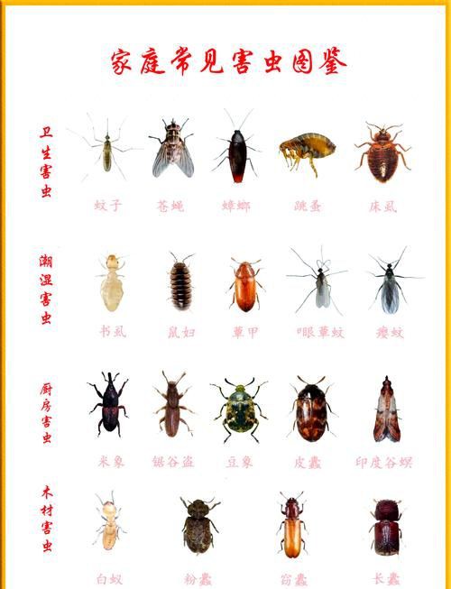 昆蟲識別圖鑒掃一掃【《昆蟲識別圖鑒掃一掃》安卓版（v2.7.12）】