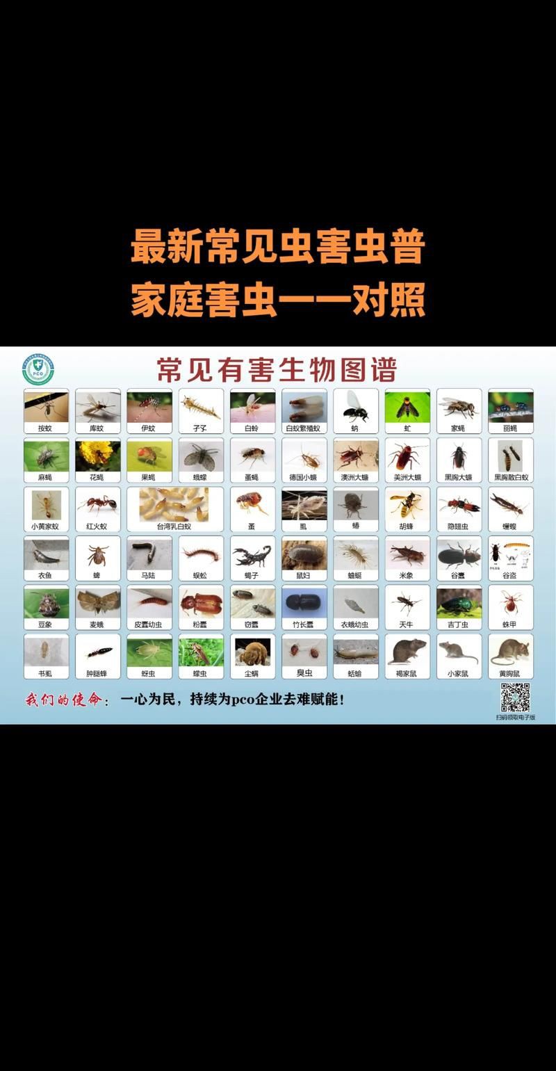 昆蟲識別圖鑒掃一掃【《昆蟲識別圖鑒掃一掃》安卓版（v2.7.12）】