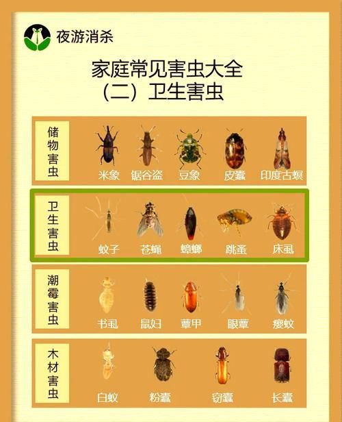 昆蟲識別圖鑒掃一掃【《昆蟲識別圖鑒掃一掃》安卓版（v2.7.12）】