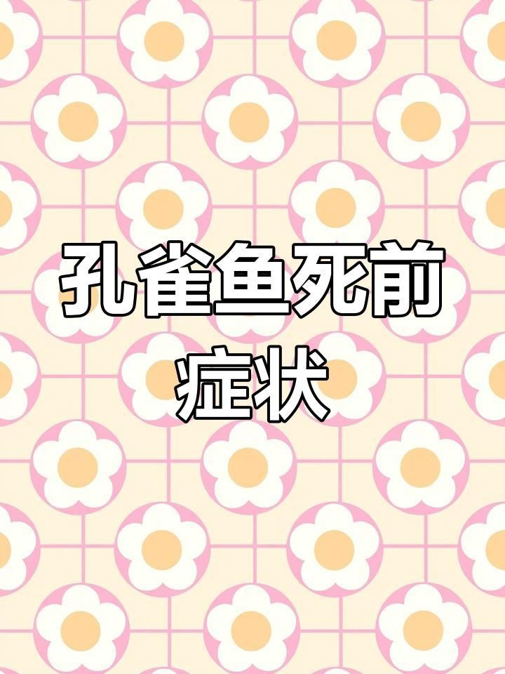 孔雀魚死前10個征兆【孔雀魚死亡前的十大征兆】