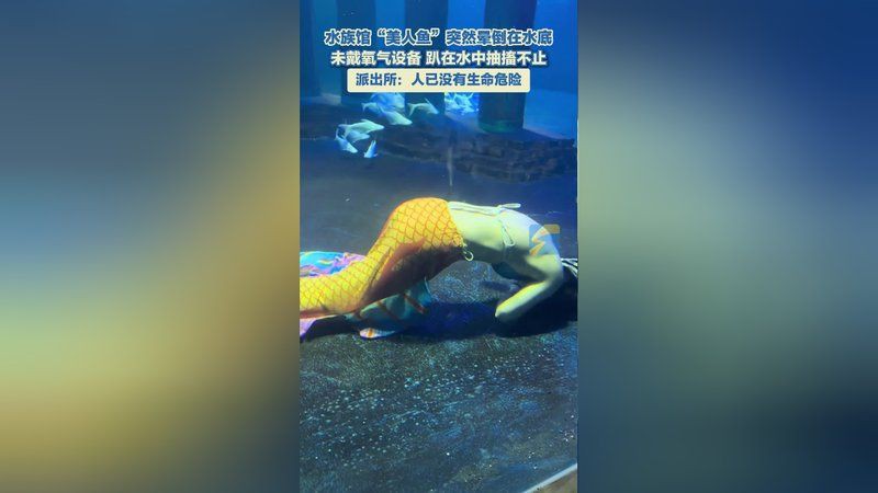 紅尾美人魚沒氧氣能活嗎【紅尾美人魚在無(wú)氧環(huán)境下能活多久】
