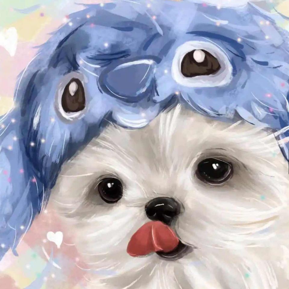 曼龍魚是吉魚還是兇魚【曼龍魚兼具觀賞性與復雜習性其“吉”或“兇”的屬性需辯證看待】