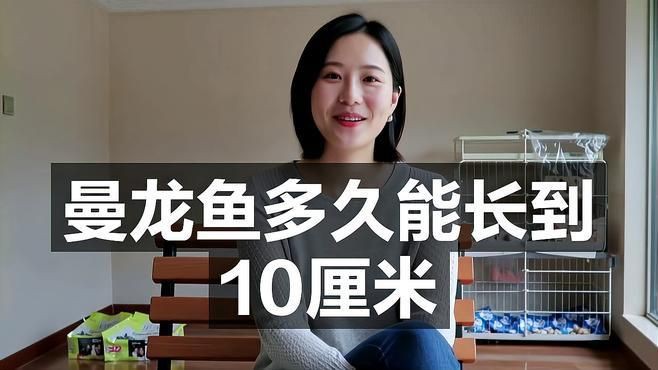 曼龍魚苗多久長1厘米【曼龍魚多久能長到10厘米】