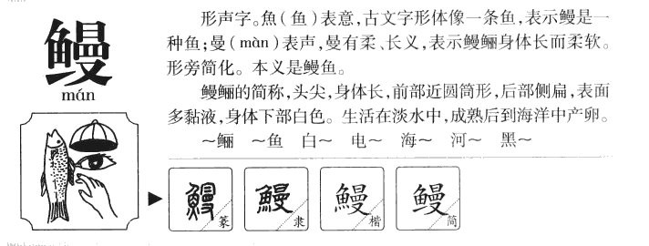 電鰻的鰻有幾個讀音，“鰻”只有一個讀音，即man，屬于漢語二級字，注音為[需手動填充]