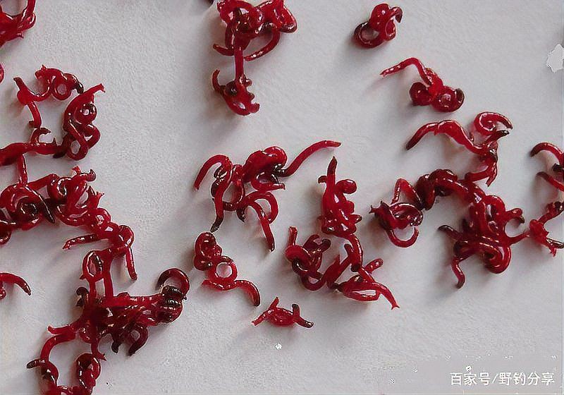 紅勾鉤魚最簡單處理方法【《紅勾鉤魚最簡單處理方法》】