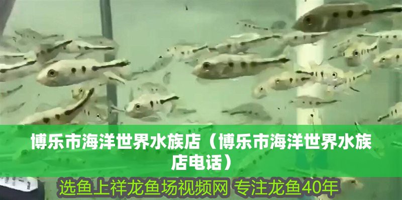 博樂水族店【博樂市有哪些水族店】