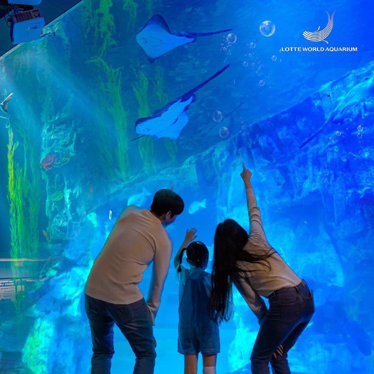 伊克烏素水族店【伊克烏素水族店\ 伊克烏素水族店【伊克烏素水族店 伊克烏素水族店【伊克烏素水族店\