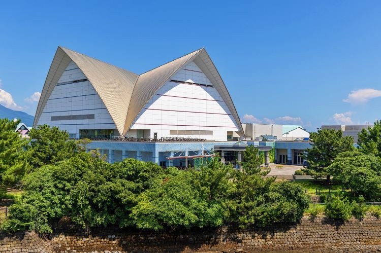 伊克烏素水族店【伊克烏素水族店\ 伊克烏素水族店【伊克烏素水族店 伊克烏素水族店【伊克烏素水族店\