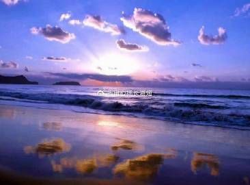 瑪麗魚放客廳大忌【《瑪麗魚放客廳大忌》】