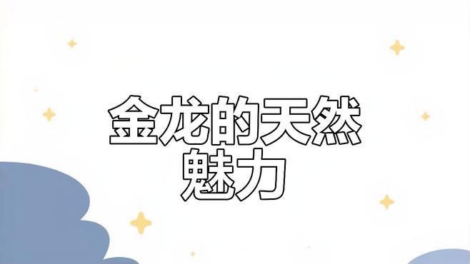 武吉美拉和普通金龍有啥區別【武吉美拉金龍與普通金龍存在顯著差異】