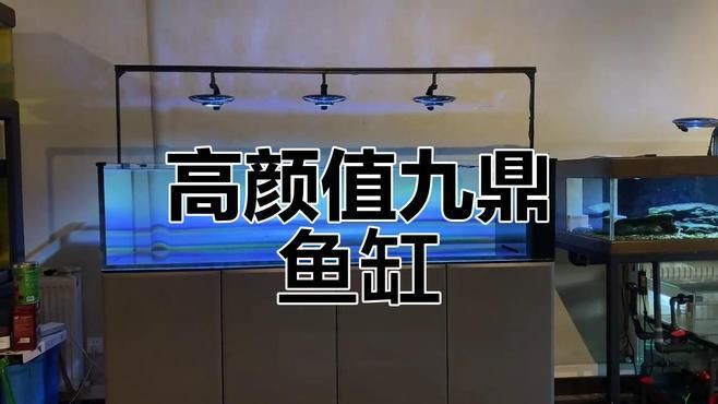 久鼎魚缸最建議買的3款【久鼎魚缸哪個系列性價比最高】