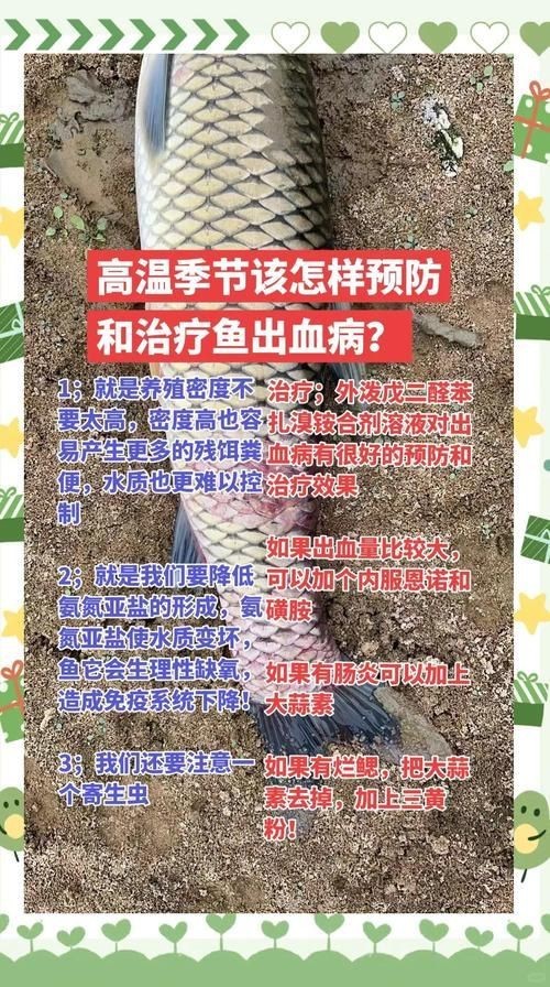 提供魚的常見病與防治圖片【《魚的常見病與防治》18種常見病及防治方法】