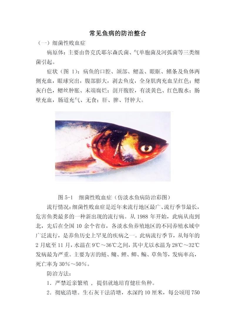 提供魚的常見病與防治圖片【《魚的常見病與防治》18種常見病及防治方法】