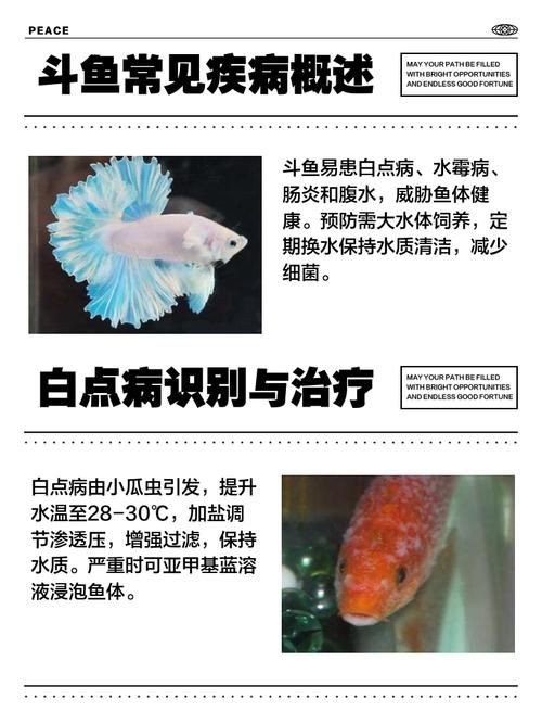 提供魚的常見病與防治圖片【《魚的常見病與防治》18種常見病及防治方法】