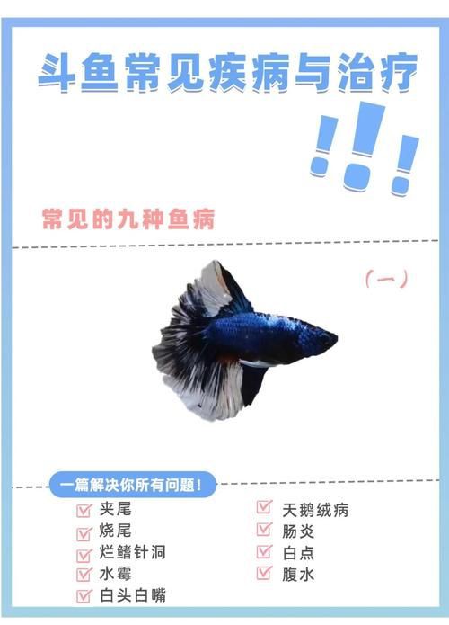 提供魚的常見病與防治圖片【《魚的常見病與防治》18種常見病及防治方法】