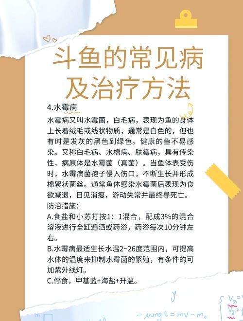 提供魚的常見病與防治圖片【《魚的常見病與防治》18種常見病及防治方法】