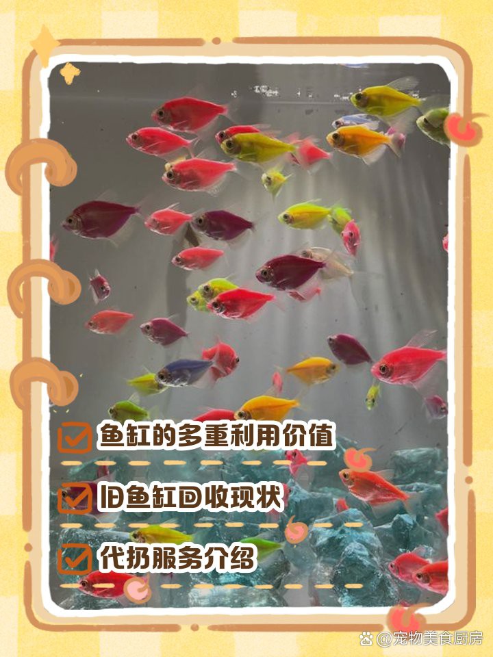 不是風水舊魚缸可以扔掉嗎【不是風水舊魚缸是否可以扔掉】