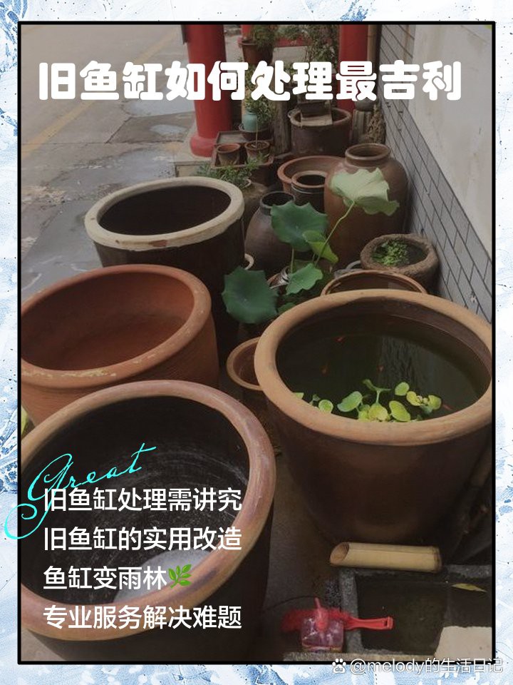不是風水舊魚缸可以扔掉嗎【不是風水舊魚缸是否可以扔掉】