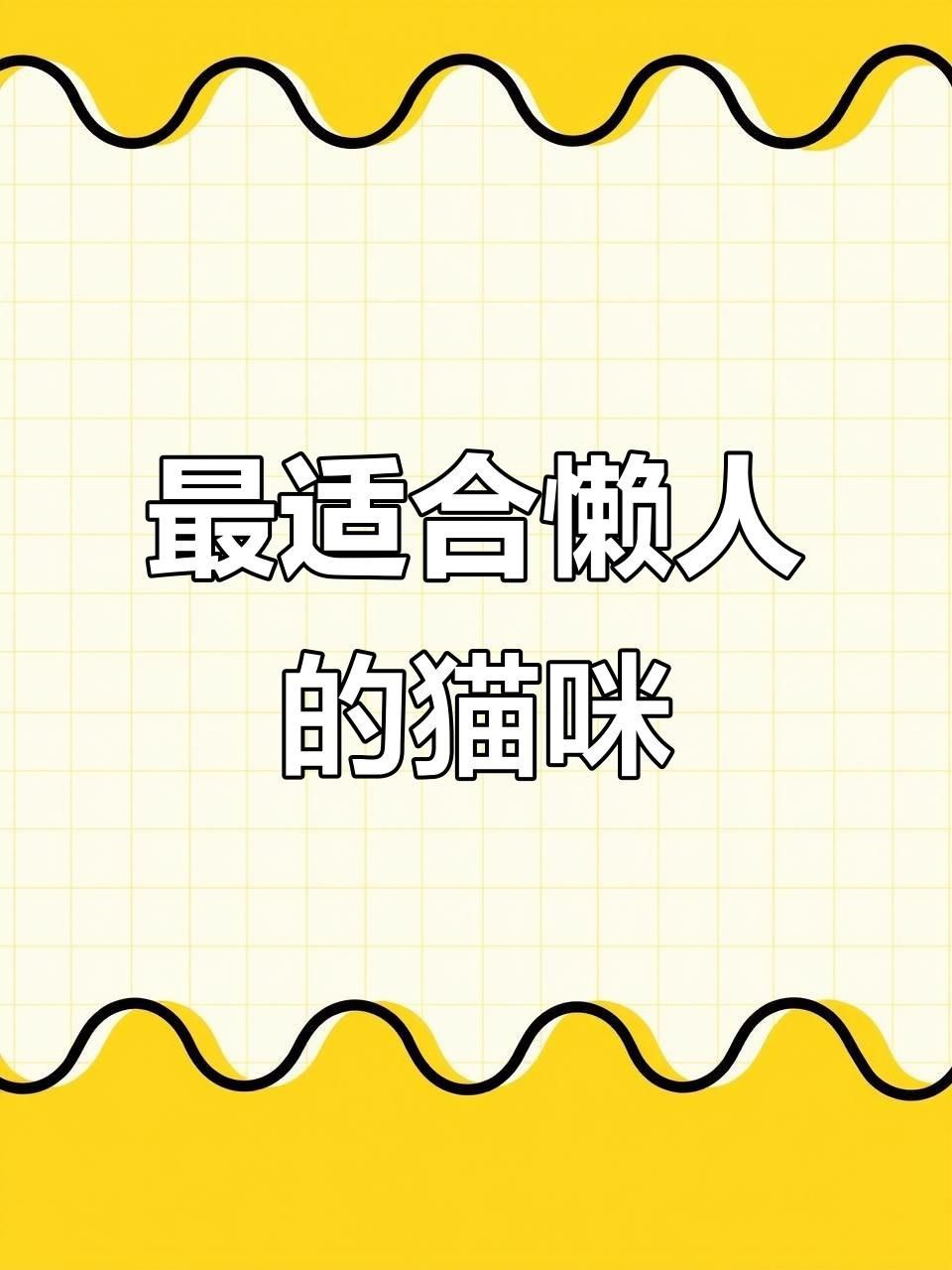 懶人最適合養的寵物【《懶人最適合養的寵物》】