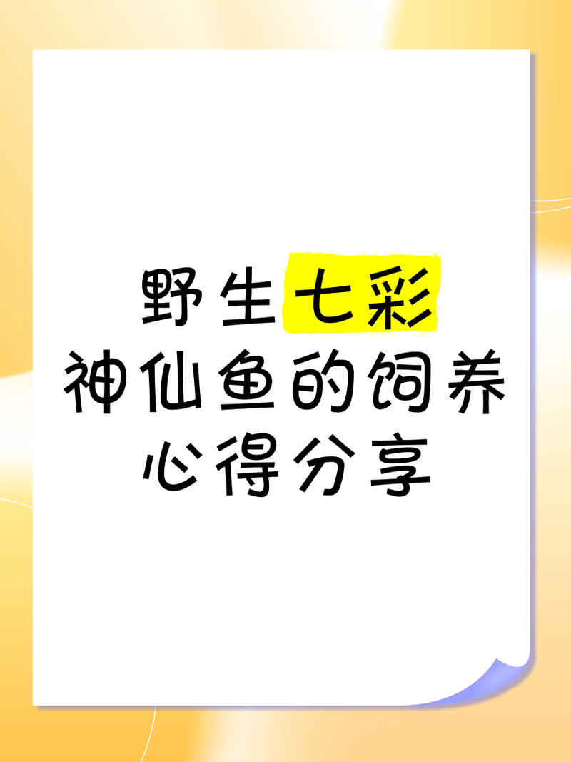 七彩野彩魚為何要少吃【七彩神仙魚的飼養(yǎng)技術(shù)】