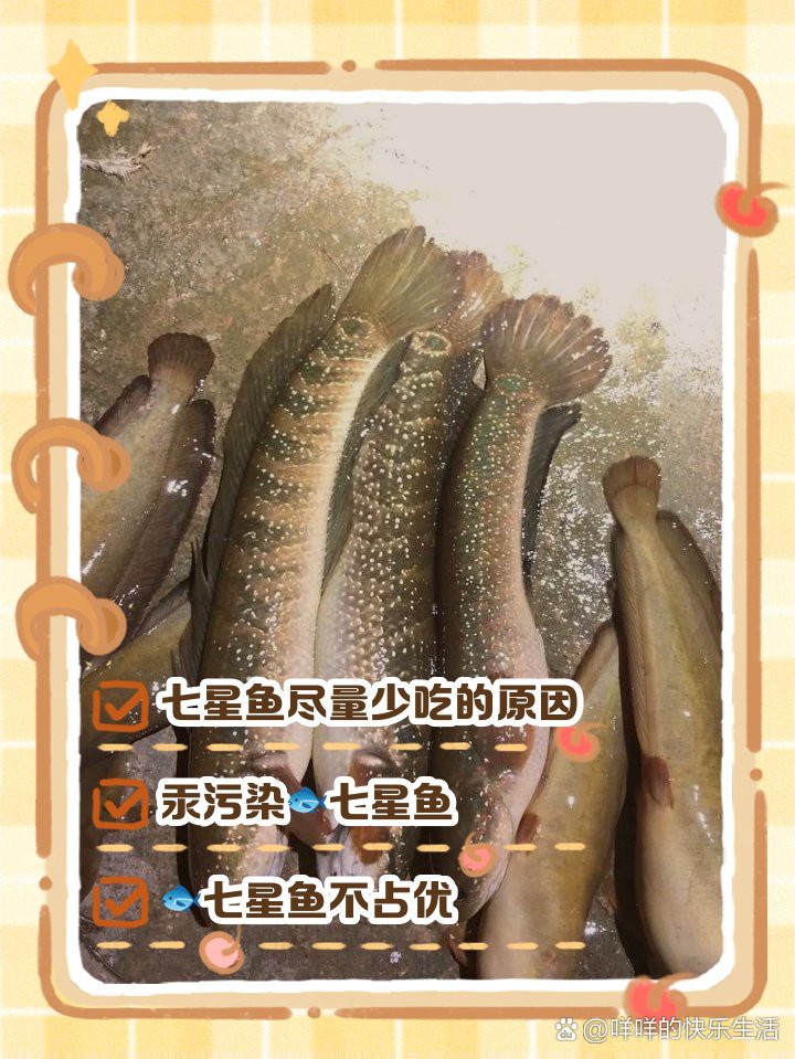 七彩野彩魚為何要少吃【七彩神仙魚的飼養(yǎng)技術(shù)】