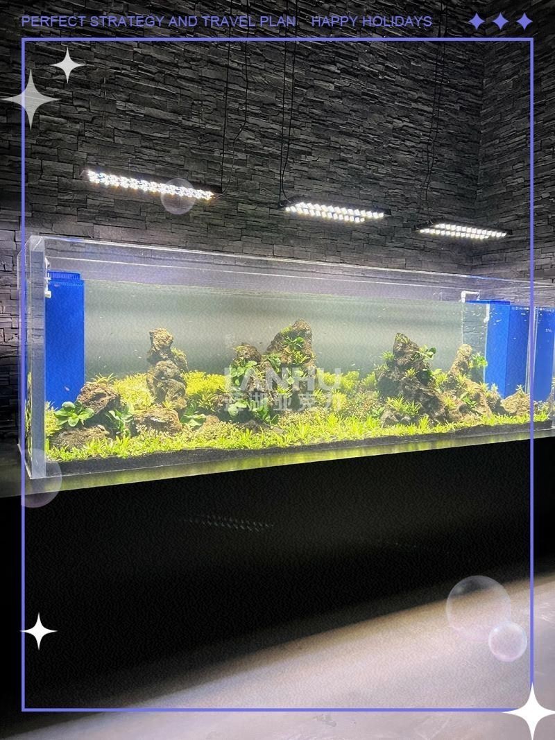 橫放缸和豎放缸的價格差異大嗎？【橫放缸與豎放缸價格差異】 橫放缸和豎放缸的價格差異大嗎？【橫放缸與豎放缸價格差異】 龍魚百科 第1張
