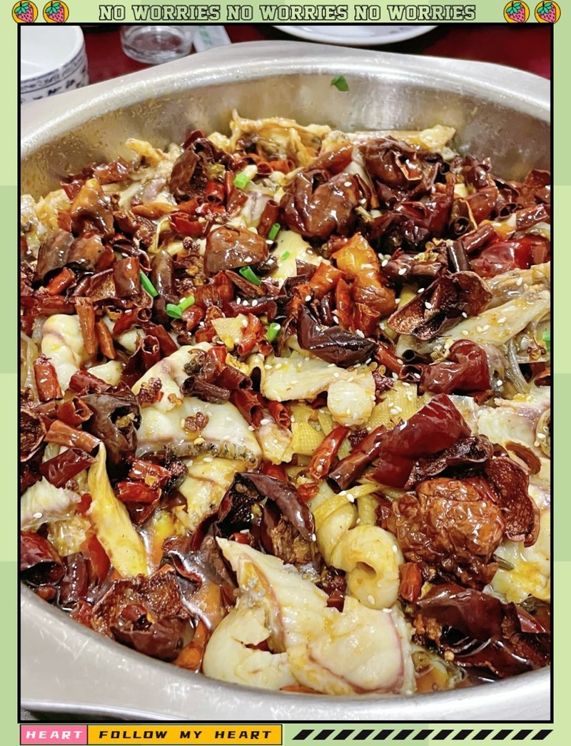 伊川龍魚店【伊川縣魚美人水族館】