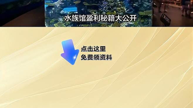 開水族館靠什么掙錢【亞特蘭蒂斯水族館游玩攻略雙爸育兒坊水族館游玩攻略】