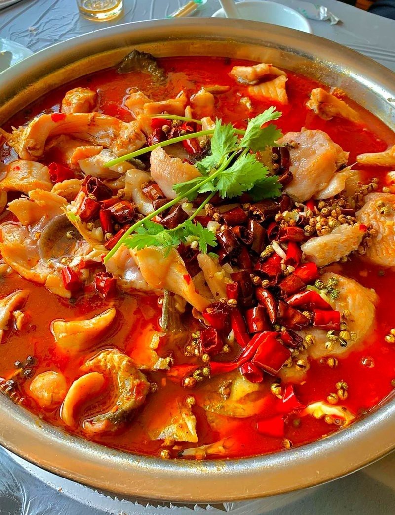 元氏龍魚店【元氏縣有哪些專業的龍魚漁場】