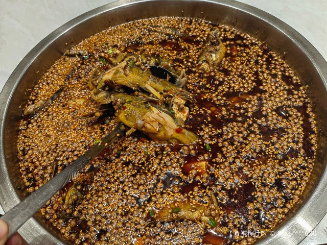 城固龍魚店【城固龍魚店的營業時間及位置在哪里】