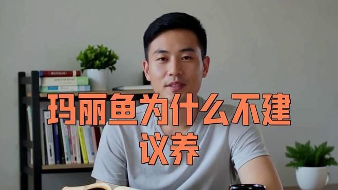 瑪麗魚為什么不建議養(yǎng)【《瑪麗魚為什么不建議養(yǎng)》】