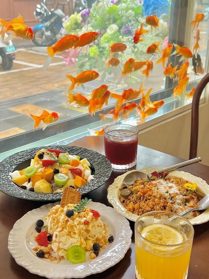 百色魚缸店【拼多多“千億扶持”加速激活西部水族大市場】