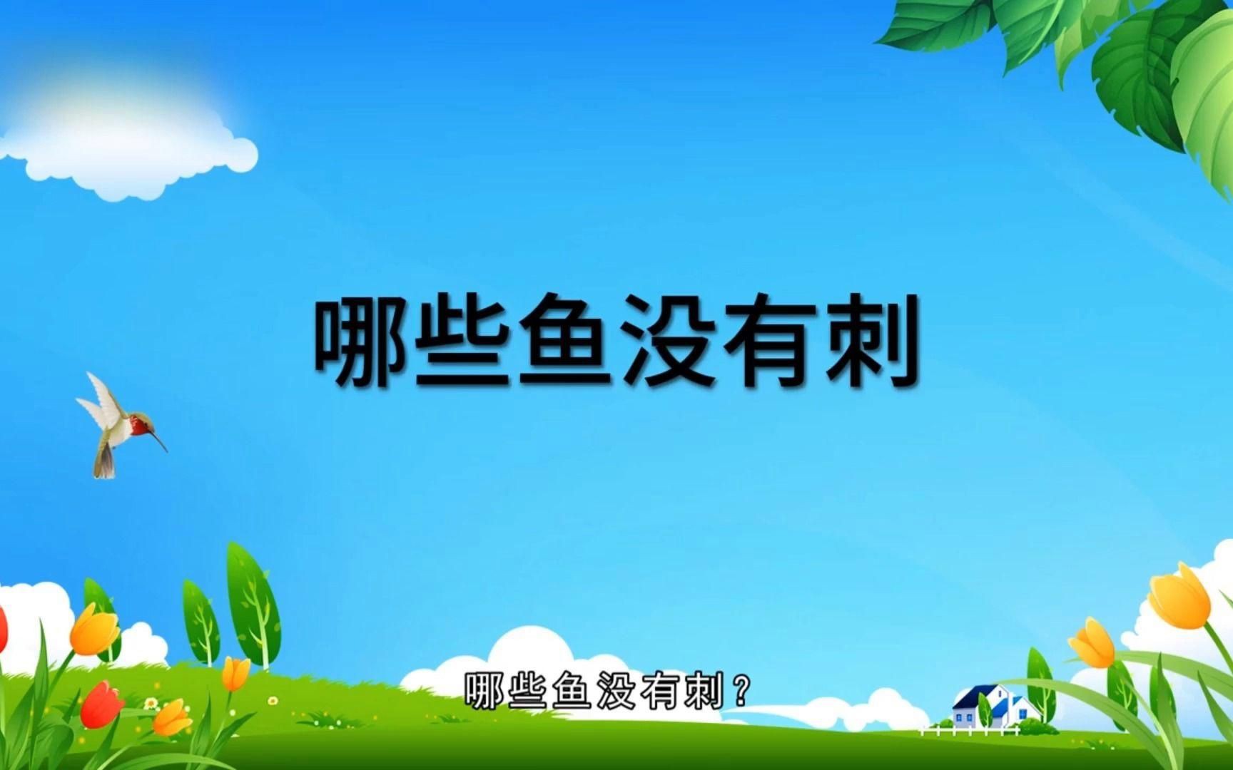 沒有刺的魚有哪些【《沒有刺的魚有哪些》】